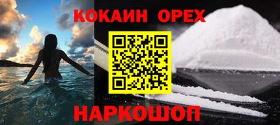 гидра Будённовск