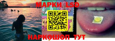 гидра Будённовск
